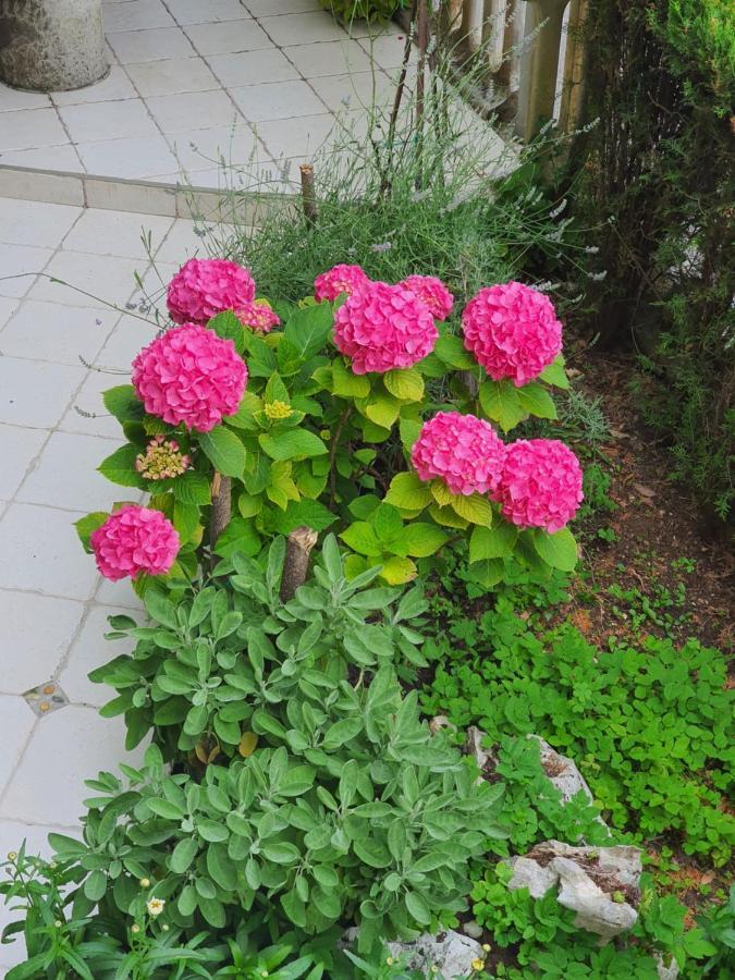 אופטיה Design Apartments Bonavista מראה חיצוני תמונה